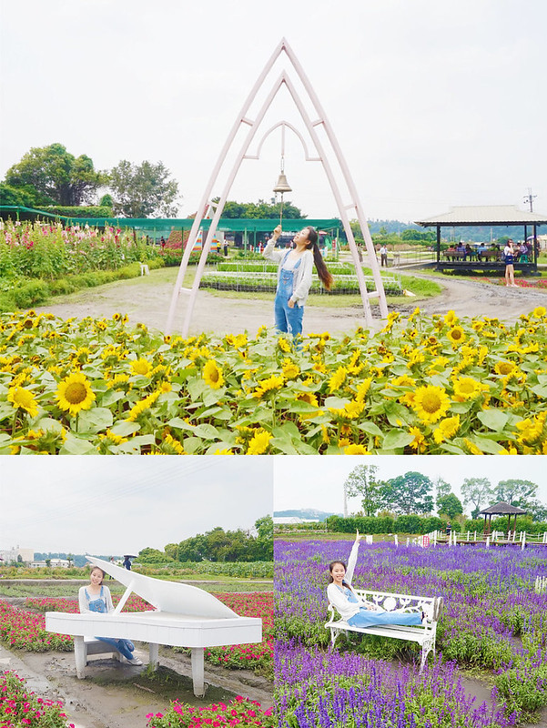 ☀專屬行程☀哈旅行台中包車旅遊。台中賞花海看夕陽。中社花市。大坑紙箱王。彩虹眷村。高美溼地。台中必去熱門景點一日搞定，上山下海不是問題