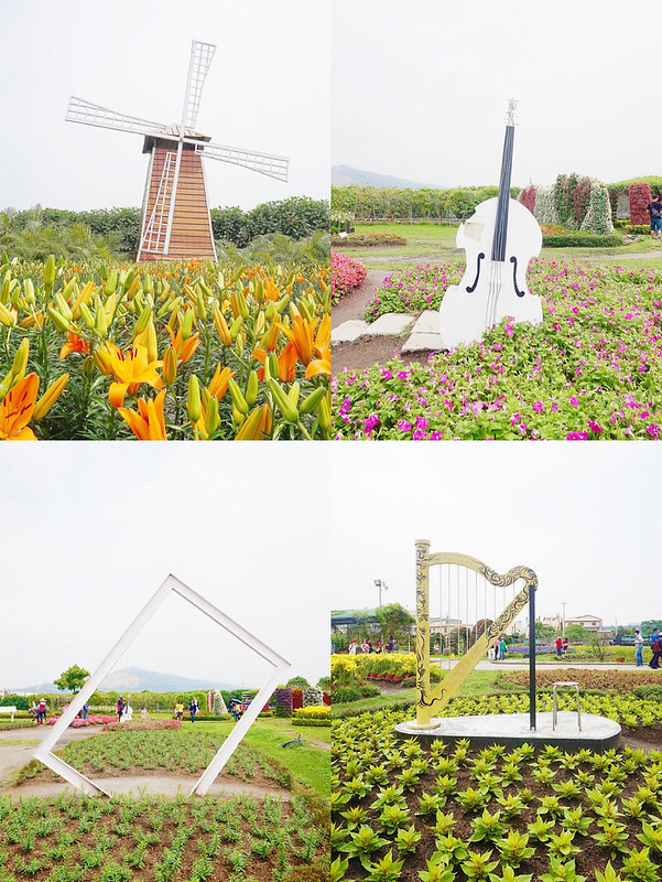 ☀專屬行程☀哈旅行台中包車旅遊。台中賞花海看夕陽。中社花市。大坑紙箱王。彩虹眷村。高美溼地。台中必去熱門景點一日搞定，上山下海不是問題