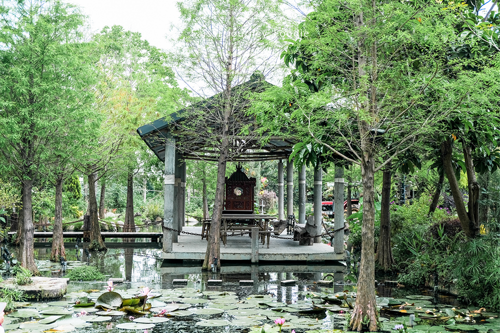 田寮農莊 台中餐廳美食 南屯美食 田園餐廳 寵物友善餐廳 Saisai Journey 烏日美食10.png