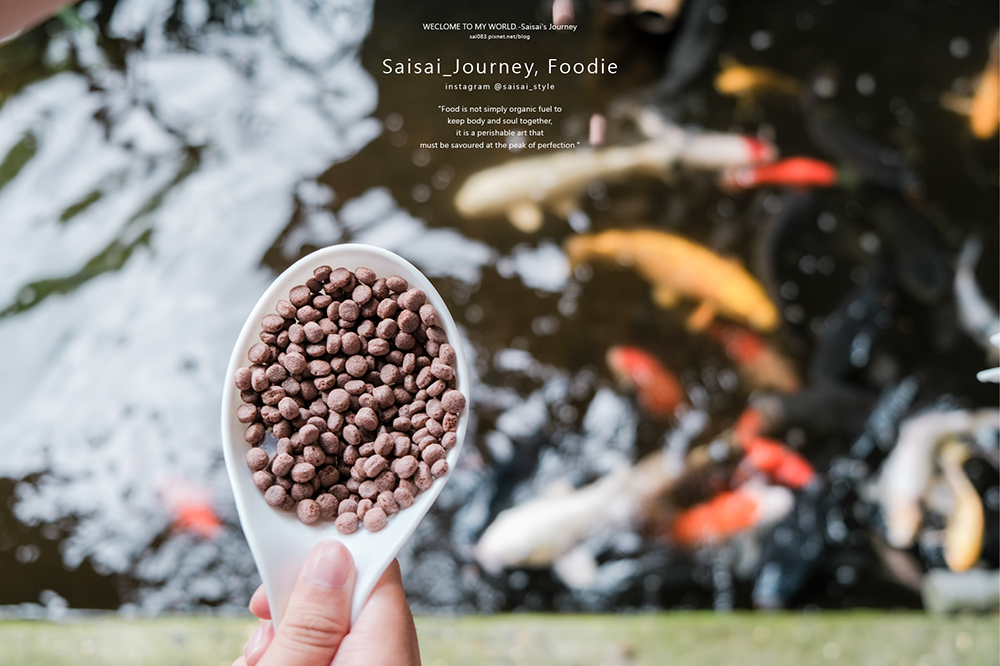 田寮農莊 台中餐廳美食 南屯美食 田園餐廳 寵物友善餐廳 Saisai Journey 烏日美食08.png