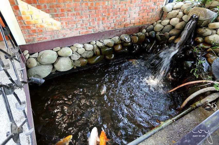 台中南屯隱藏版田園餐廳『田寮農莊』,池塘落羽松造景與總鋪師古早味農家菜,適合親子郊遊的好去處!