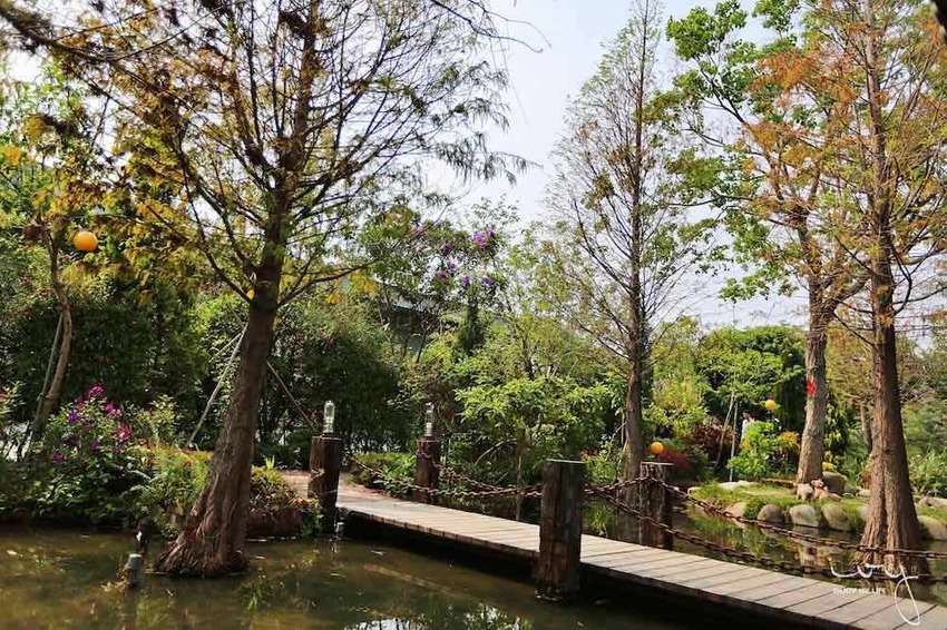 台中南屯隱藏版田園餐廳『田寮農莊』,池塘落羽松造景與總鋪師古早味農家菜,適合親子郊遊的好去處!