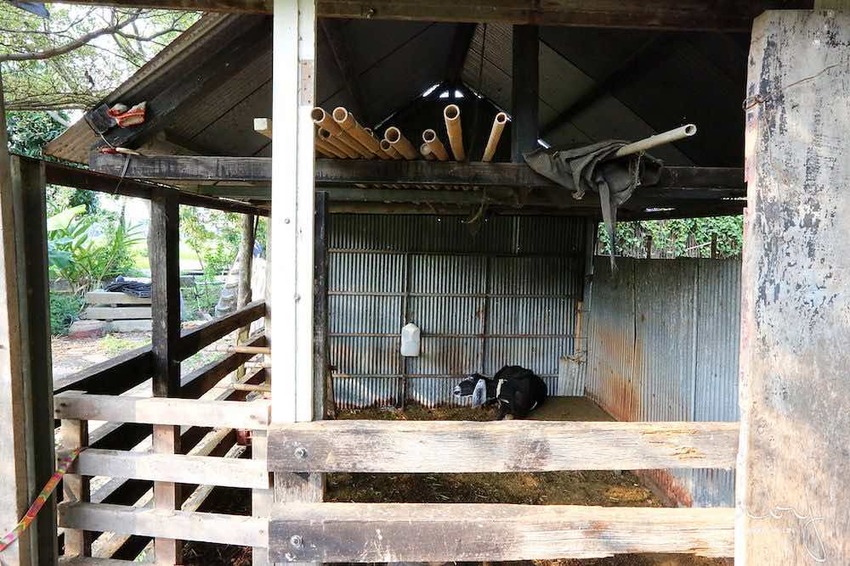 台中南屯隱藏版田園餐廳『田寮農莊』,池塘落羽松造景與總鋪師古早味農家菜,適合親子郊遊的好去處!