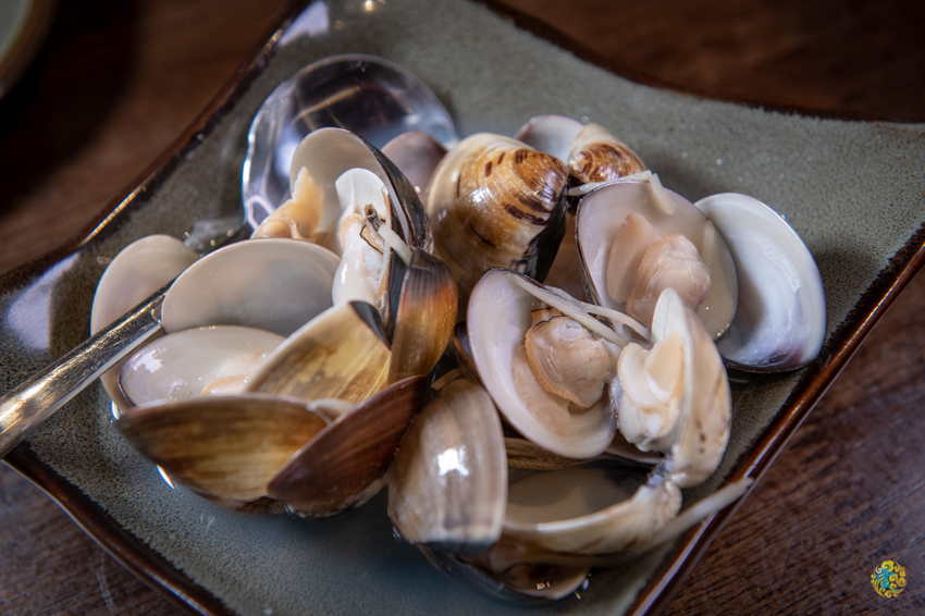 新莊美食》老味噌居酒屋 新莊店 - 平價美味串燒 優質的深夜食堂 - 時空幻境 凌雲江海清