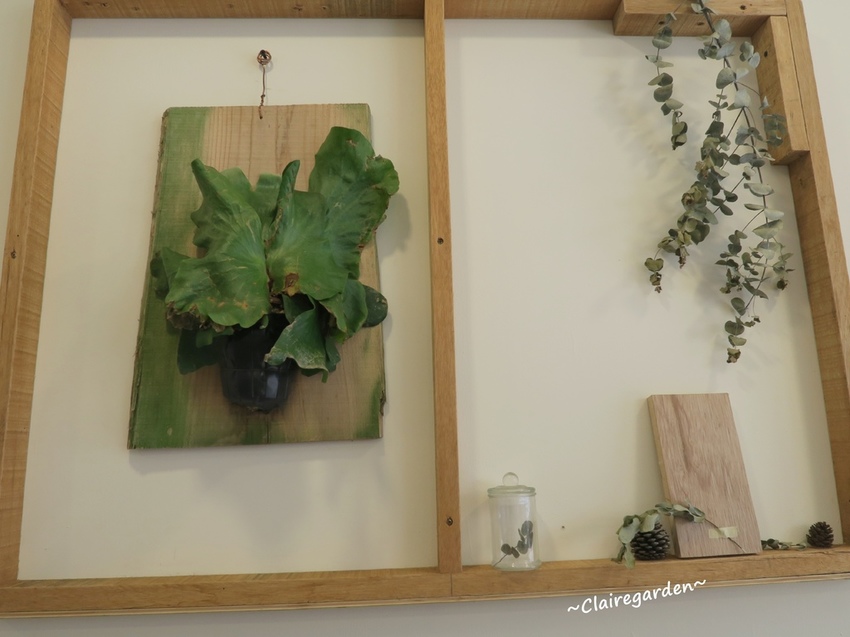 IMG_2458.JPG IMG_2458.JPG