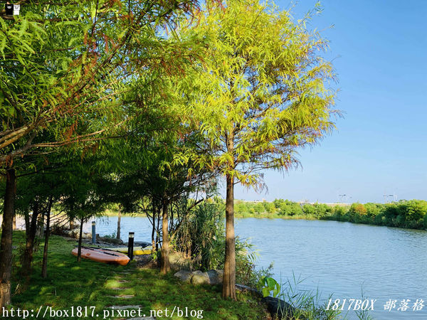 【宜蘭。五結】傳藝渡假會館Tradition Arts Villa。一泊二食。私房落羽松湖畔。玩沙綠地。渡假聖地。宜蘭民宿