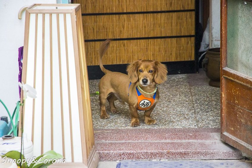 【台中景點】文青風格打卡景點／CP皇后鎮 風格聚落藝術市集～期間限定文創市集