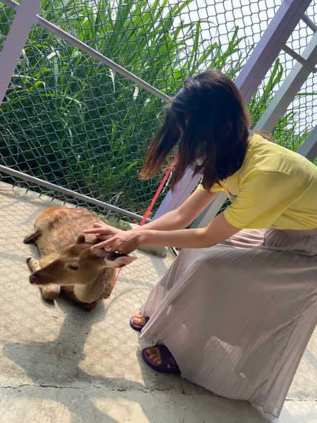 20200418鹿鹿好可愛我就厲害孫東寶_200423_0027