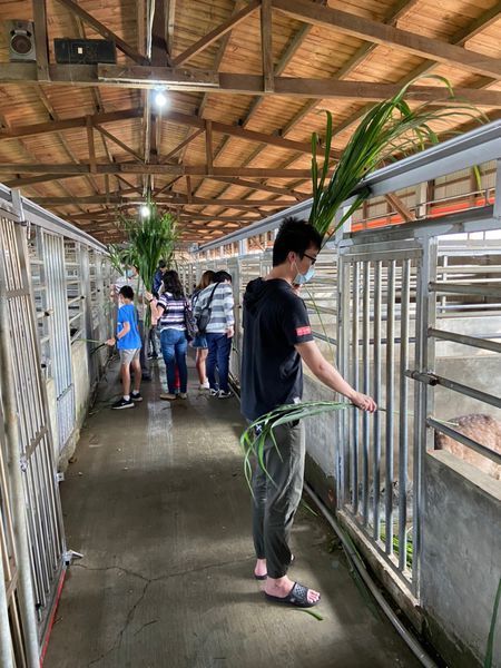 20200418鹿鹿好可愛我就厲害孫東寶_200423_0108