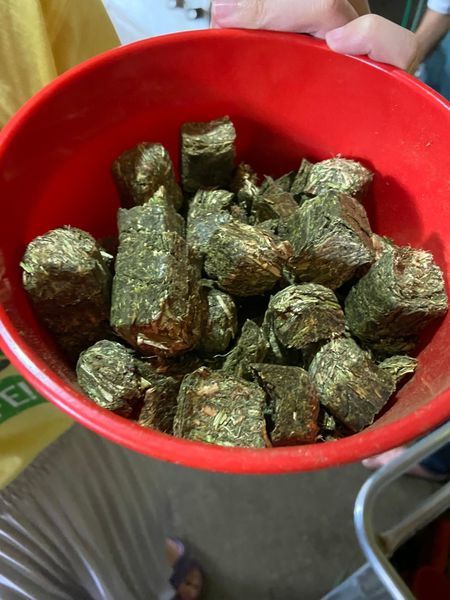 20200418鹿鹿好可愛我就厲害孫東寶_200423_0058