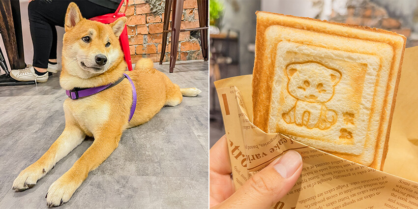 2023年楠梓美食懶人包