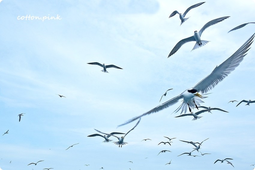 2018最新澎湖旅遊規劃|IG打卡景點、在地美食小吃、出海吃到飽推薦