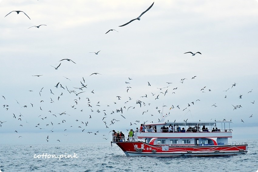2018最新澎湖旅遊規劃|IG打卡景點、在地美食小吃、出海吃到飽推薦