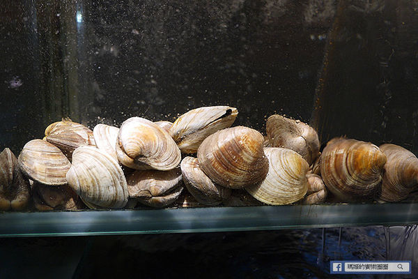 台北東區火鍋推薦【故意goodeat海鮮鍋物】現撈活體海鮮吃得過癮/東區平價火鍋