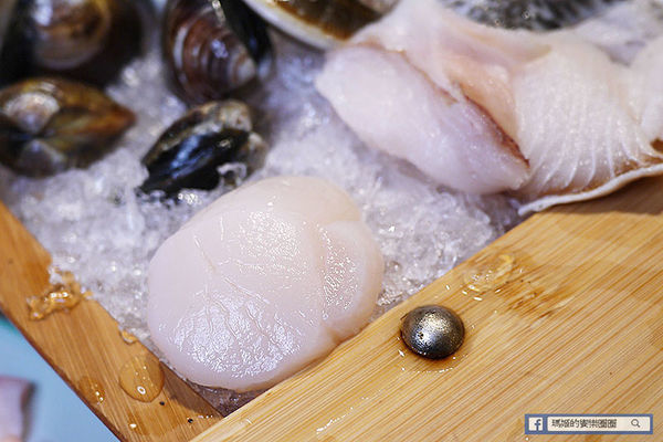 台北東區火鍋推薦【故意goodeat海鮮鍋物】現撈活體海鮮吃得過癮/東區平價火鍋