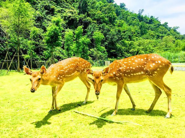 IMG_3456-EFFECTS (1).jpg