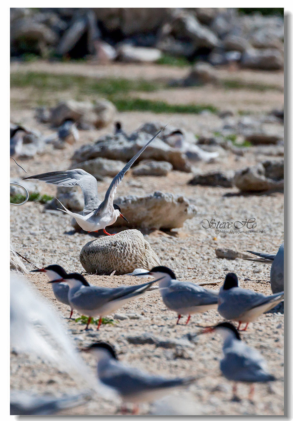 IMG_0821.jpg IMG_0821.jpg