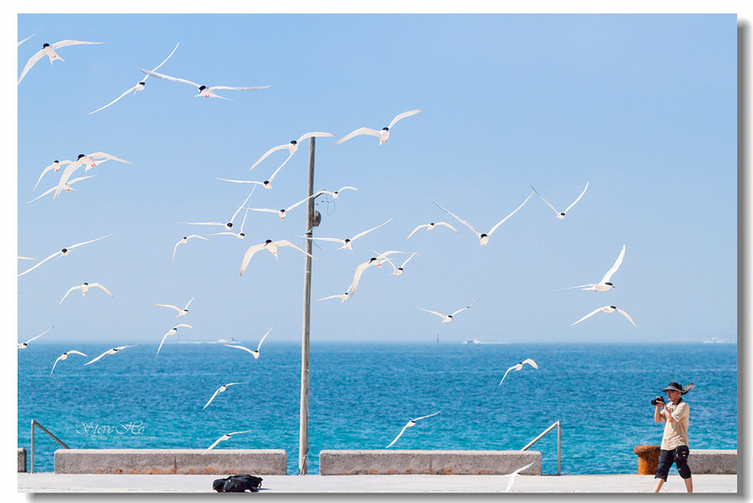 IMG_0913.jpg IMG_0913.jpg