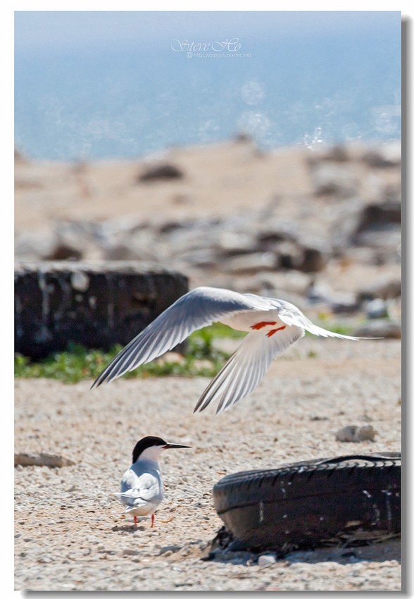 IMG_0849.jpg IMG_0849.jpg