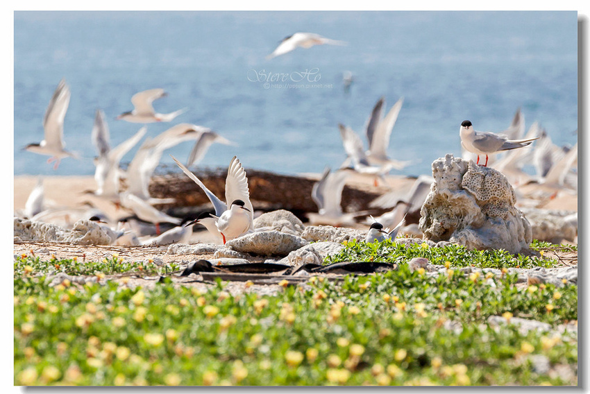 IMG_0865.jpg IMG_0865.jpg