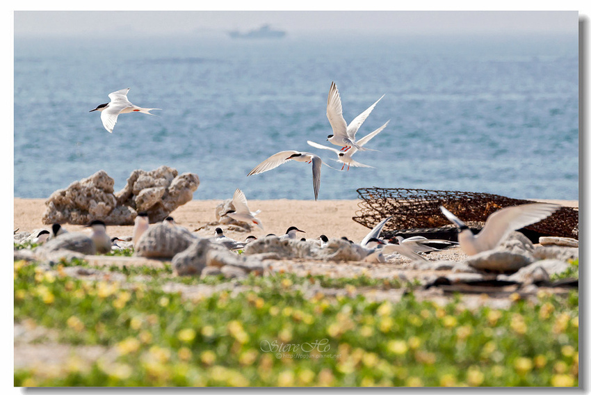 IMG_0864.jpg IMG_0864.jpg