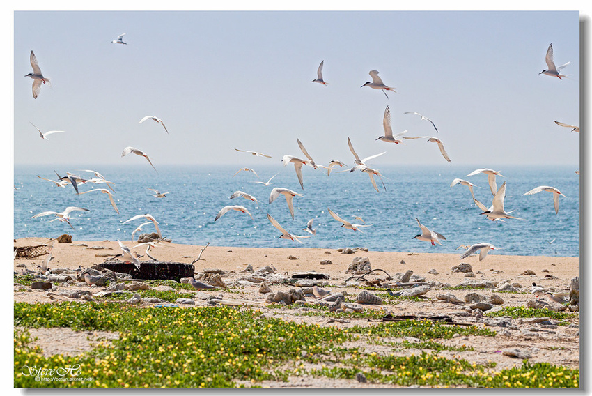 IMG_0890.jpg IMG_0890.jpg