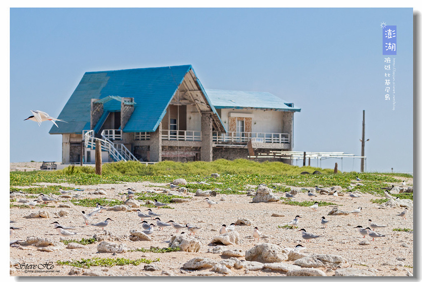 IMG_0825.jpg IMG_0825.jpg