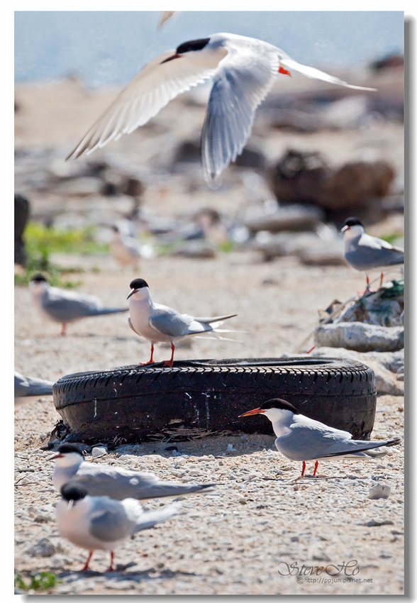 IMG_0841.jpg IMG_0841.jpg