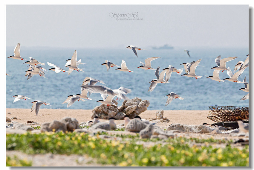 IMG_0866.jpg IMG_0866.jpg