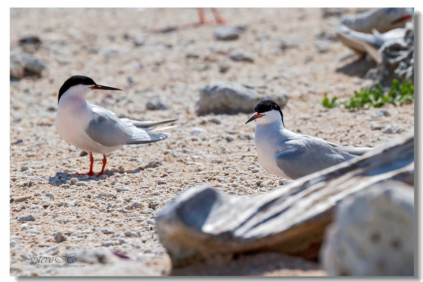 IMG_0853.jpg IMG_0853.jpg