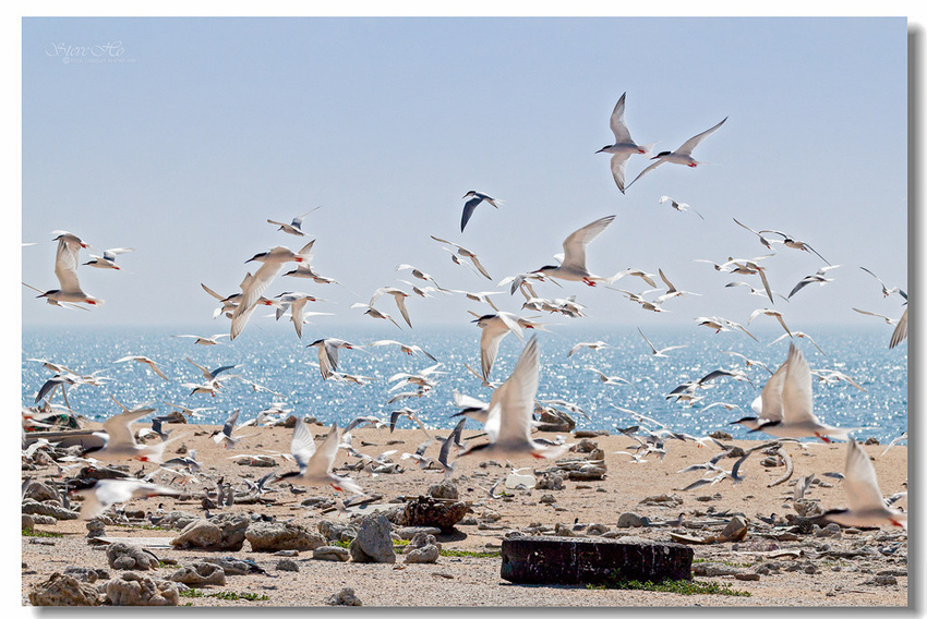 IMG_0907.jpg IMG_0907.jpg