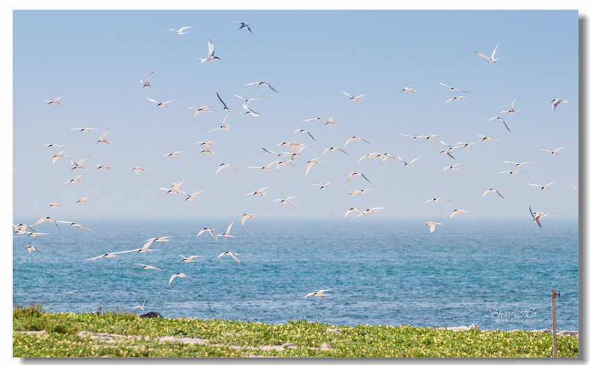 IMG_0885.jpg IMG_0885.jpg