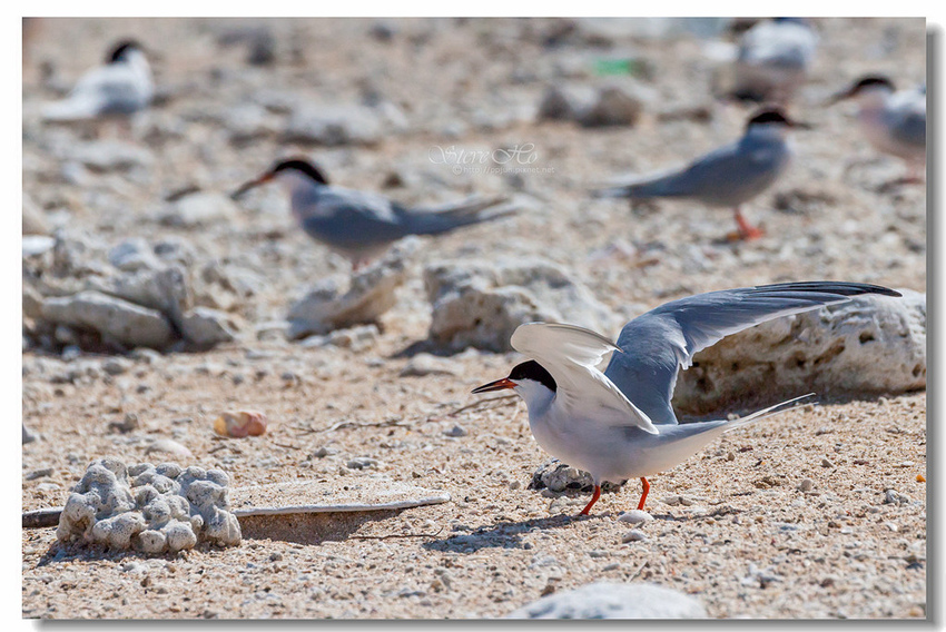 IMG_0826.jpg IMG_0826.jpg