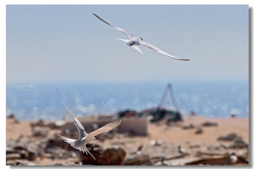 IMG_0850.jpg IMG_0850.jpg