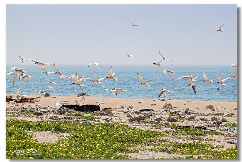 IMG_0889.jpg IMG_0889.jpg