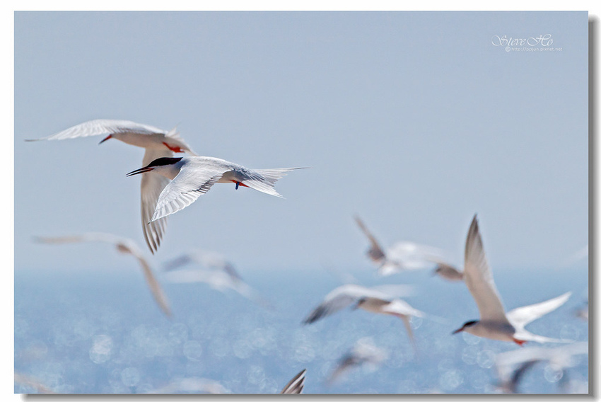 IMG_0919.jpg IMG_0919.jpg