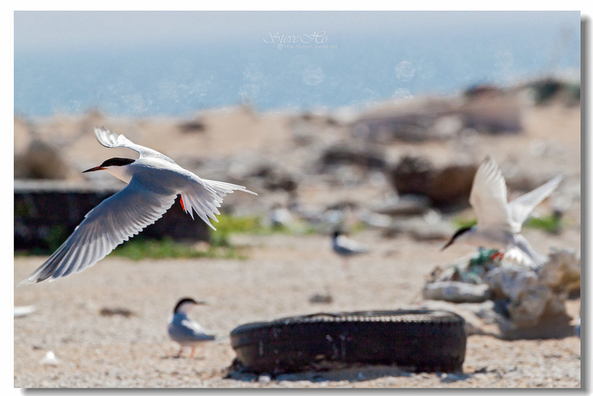 IMG_0844.jpg IMG_0844.jpg