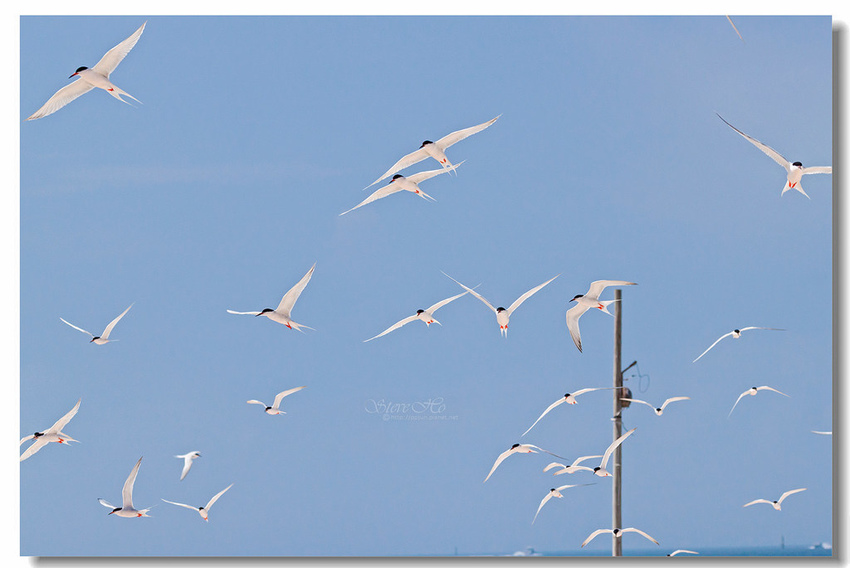 IMG_0914.jpg IMG_0914.jpg