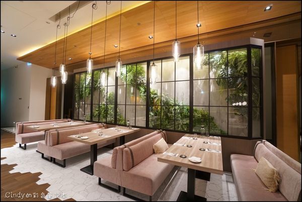 鹽與石頭 20190817_190818_0047.jpg