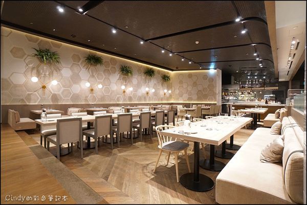 鹽與石頭 20190817_190818_0056.jpg