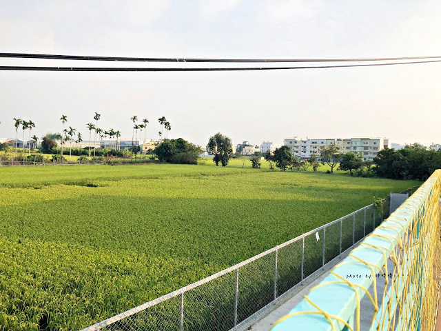 【台中 大雅】手感職人烘焙工廠/精品咖啡零售批發💚💚💚田野間的特色咖啡館,咖啡好喝,氣氛悠閒舒適,老闆更是熱愛單車,來這裡喝咖啡、聊單車,舒服到捨不得離開😊