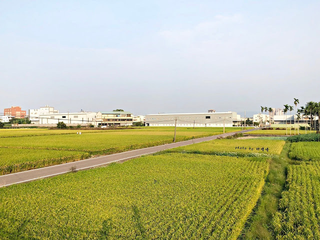 【台中 大雅】手感職人烘焙工廠/精品咖啡零售批發💚💚💚田野間的特色咖啡館,咖啡好喝,氣氛悠閒舒適,老闆更是熱愛單車,來這裡喝咖啡、聊單車,舒服到捨不得離開😊