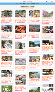 海綿飽飽的鳳梨城堡的旅遊牆