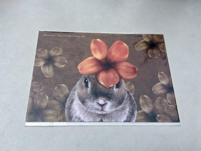 【桃園】2019 - 南崁兒童藝術村- 小書店手作市集& 南崁講堂 & Walk Walk Coffee &資深文青咖啡館