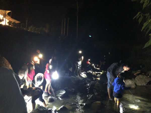 圓圓家第51露-《新竹五峰》豪華野遊正流行,愛露營《飛鳥恰恰》,體驗一泊五食輕鬆快樂露營去