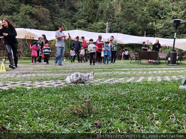 圓圓家第51露-《新竹五峰》豪華野遊正流行,愛露營《飛鳥恰恰》,體驗一泊五食輕鬆快樂露營去