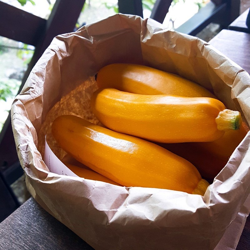 201947_190426_0020 201947_190426_0020