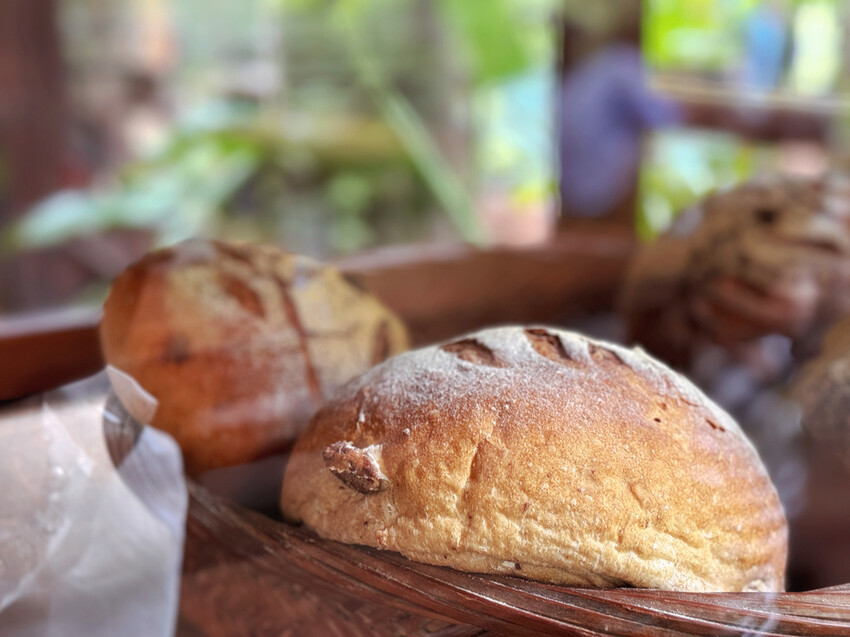 嘉義阿里山HANA廚房!山中隱藏版南非風味餐廳,手工披薩 鄒族烤肉盤。