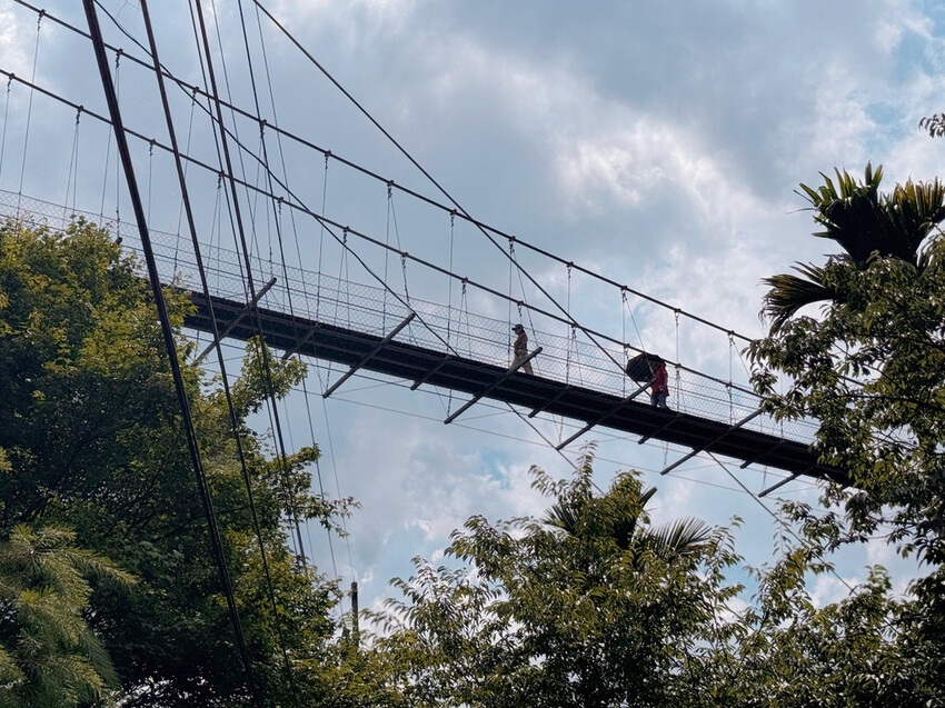 嘉義阿里山HANA廚房!山中隱藏版南非風味餐廳,手工披薩 鄒族烤肉盤。