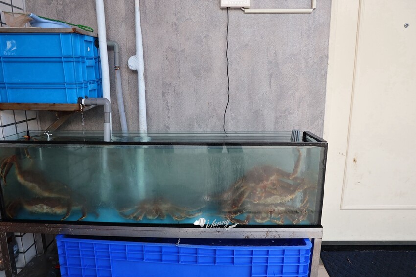 新北市貢寮區貢竂海鮮 | 卯澳海洋驛站 超人氣海鮮店擁有百位停車場